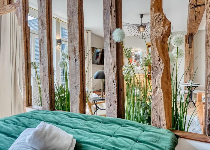 La Venelle Saint-nicolas 公寓 鲁昂